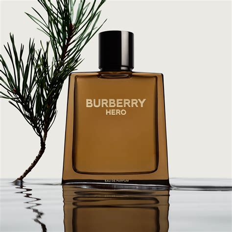 burberry for men's perfume